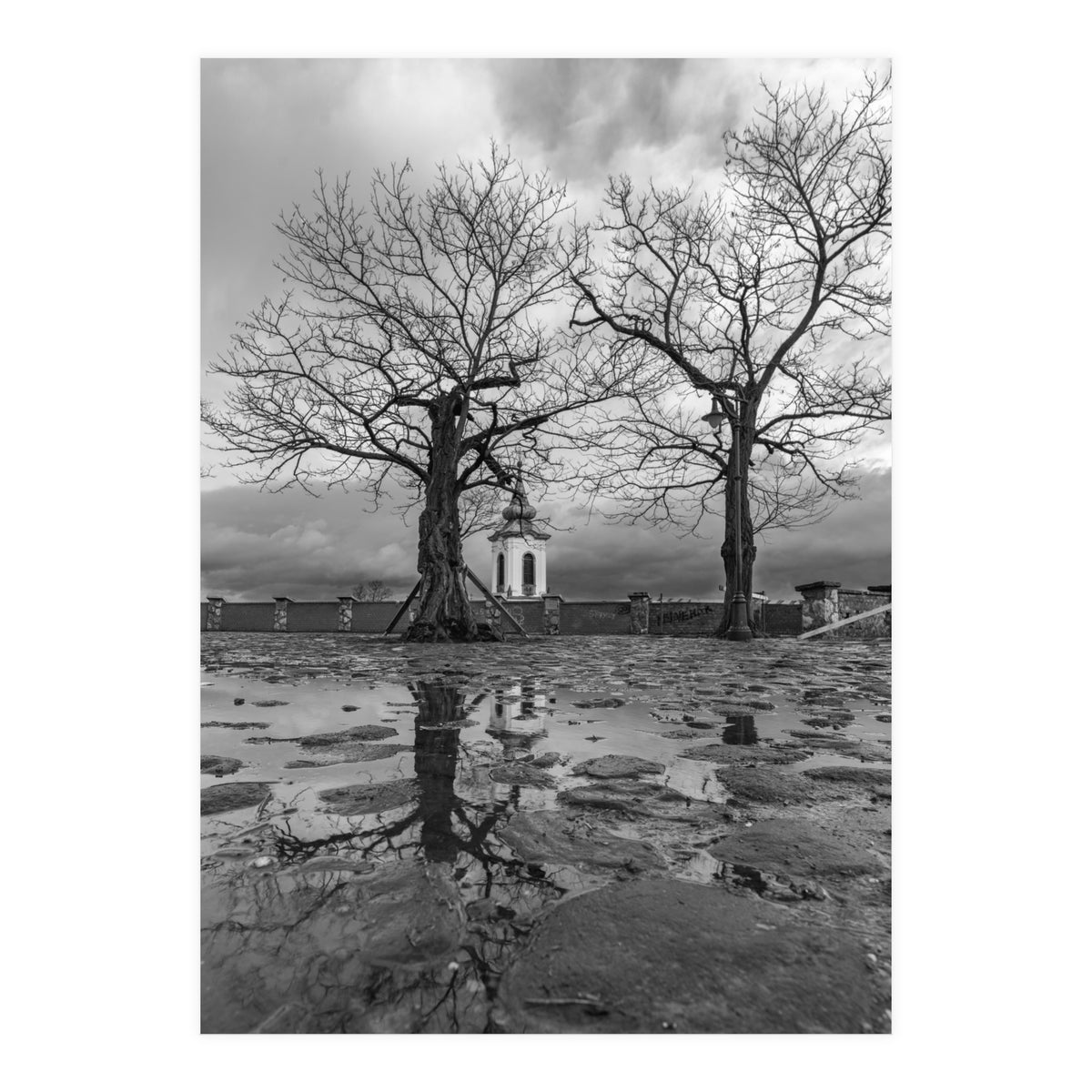 Churches and trees (Print Only)