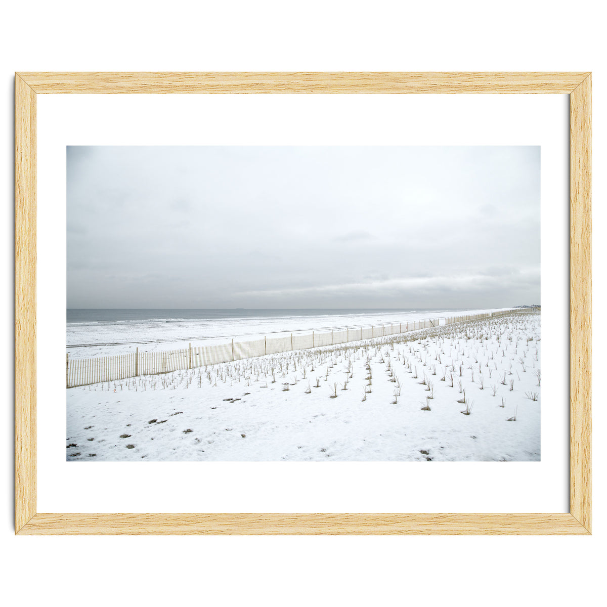 Winter grass in snow beach