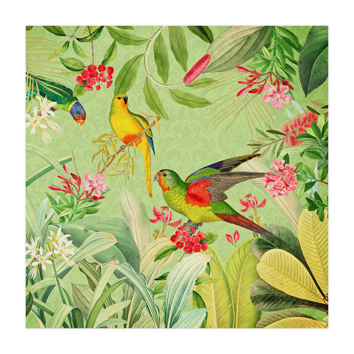 Summer Day Vintage Tropical Jungle (Print Only)