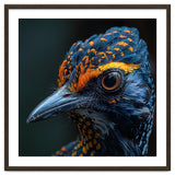 Close Up Of A Colorful Bird Head And Eye thumbnail