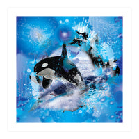 Orca (Print Only)