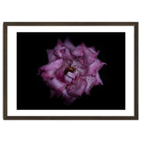 Backyard Flowers No 111 Color Version thumbnail