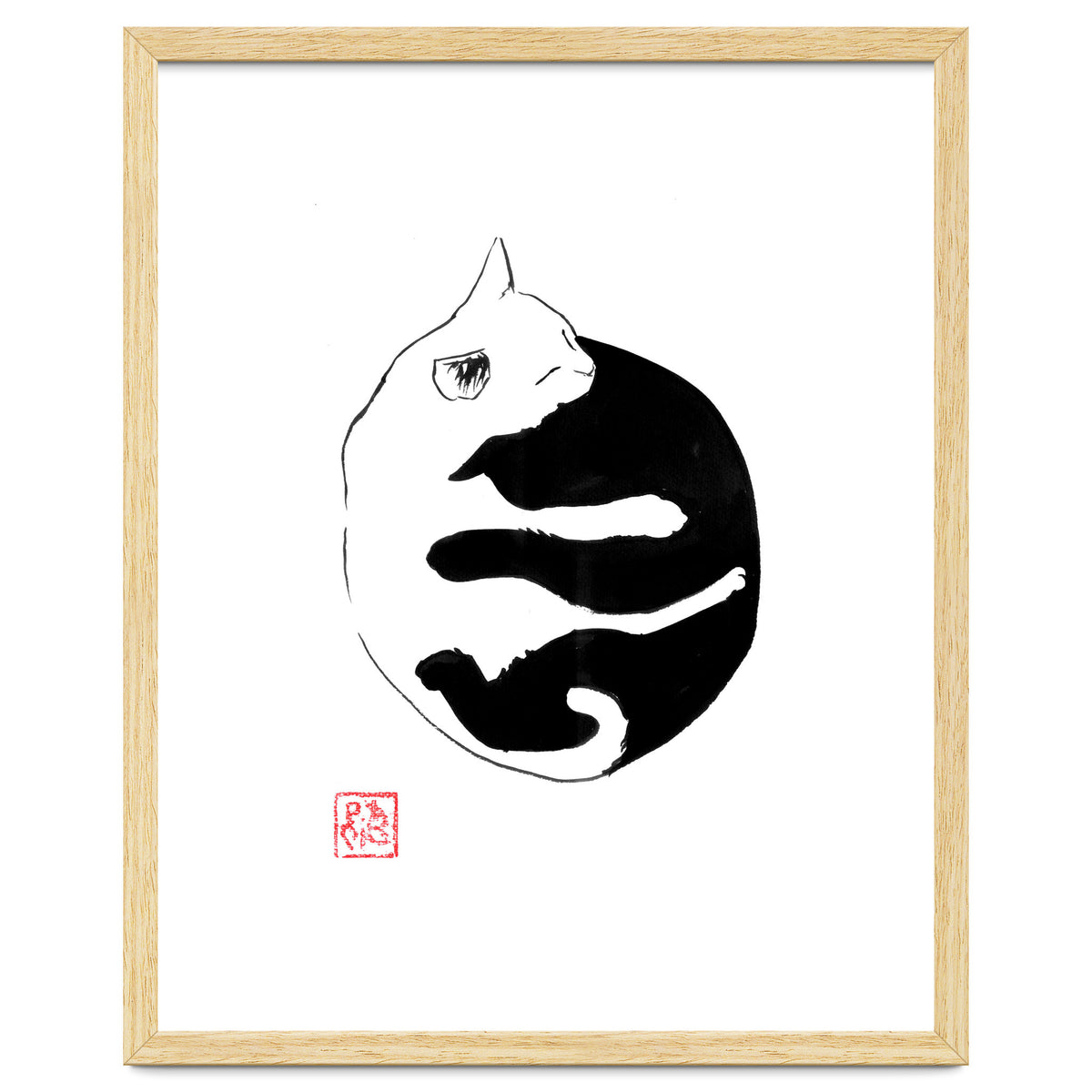 Ying yang Cat