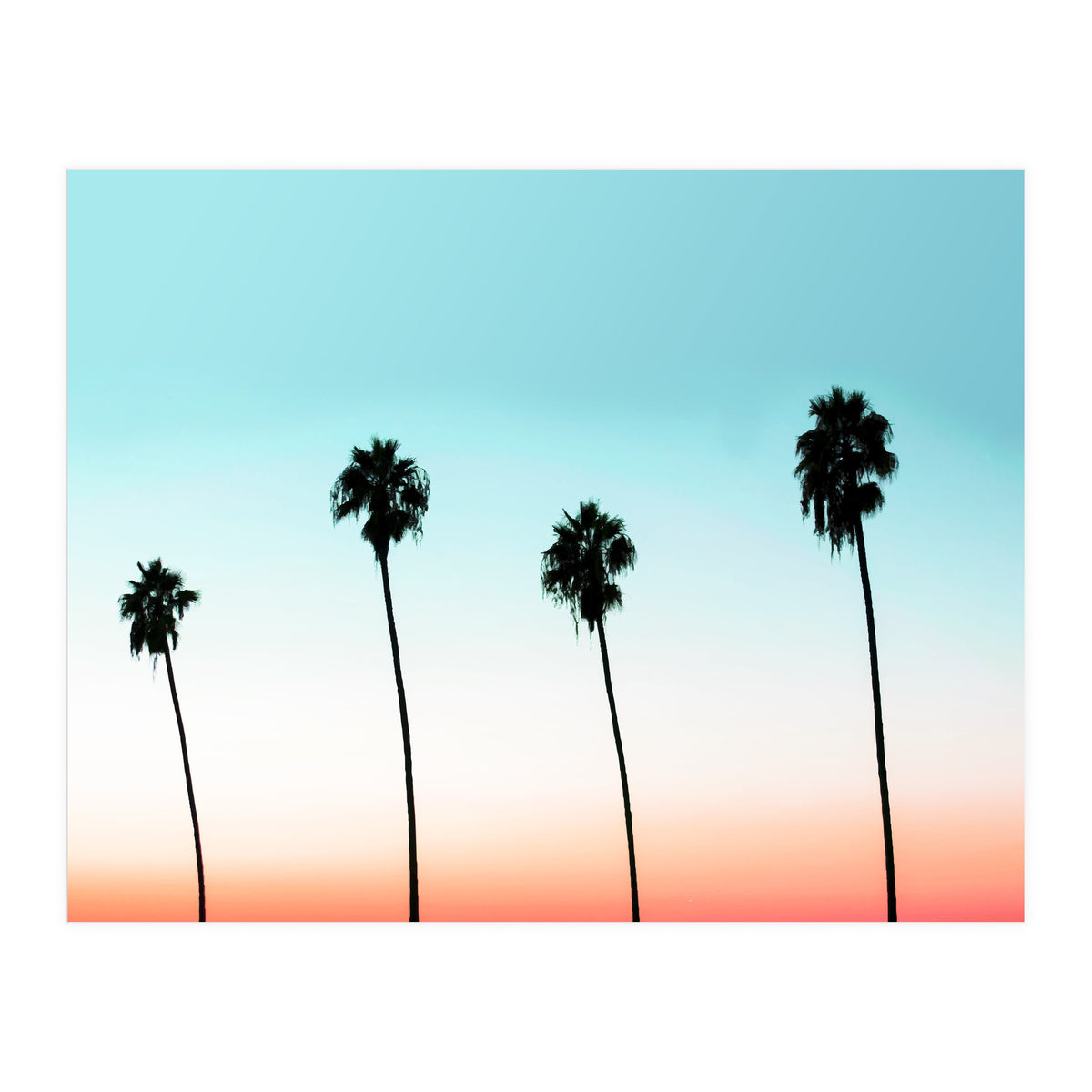 Sunset Boulevard #society6 #decor #buyart (Print Only)