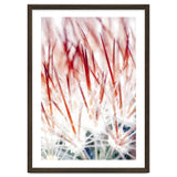 Delicate Florals thumbnail