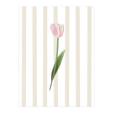 Single Tulip (Print Only) thumbnail