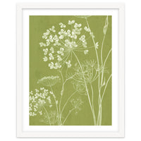 Wildflowers III