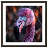 Close Up Of A Pink Flamingo Bird Face thumbnail