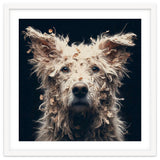 Old Dog 06 thumbnail