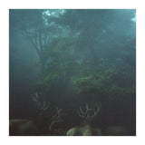 Silence of breath - 12 (Print Only) thumbnail