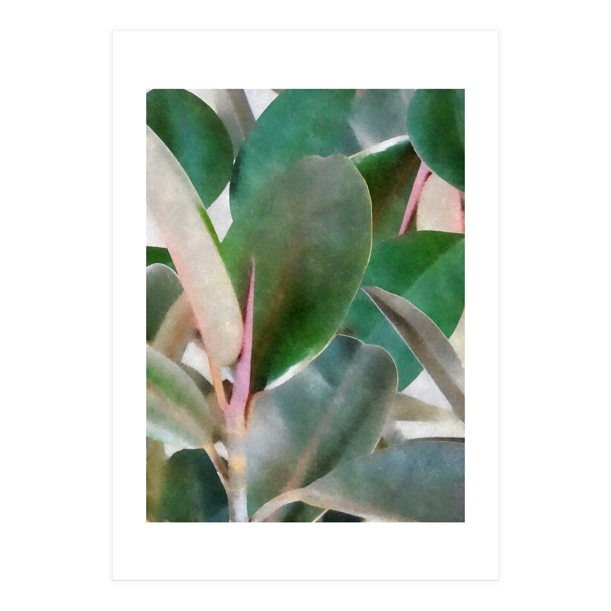 Preconceived Purity (Print Only)