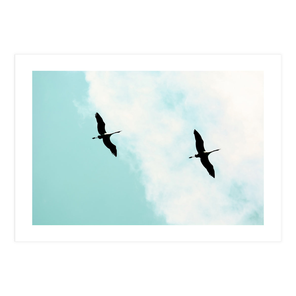 Crane(s) V (Print Only)