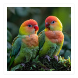 Lovebirds Perched Together On Mossy Branch (Print Only) thumbnail