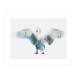 Swan (Print Only) thumbnail