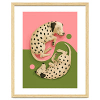 Yin And Yang Dalmatians