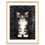 Bicolor Cute Kitten Portrait thumbnail