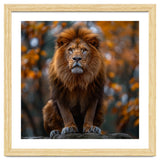 Majestic Lion Sitting On A Rock In Autumn Forest thumbnail