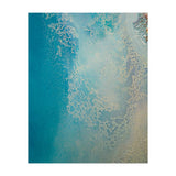 Shallow Waters (Print Only) thumbnail