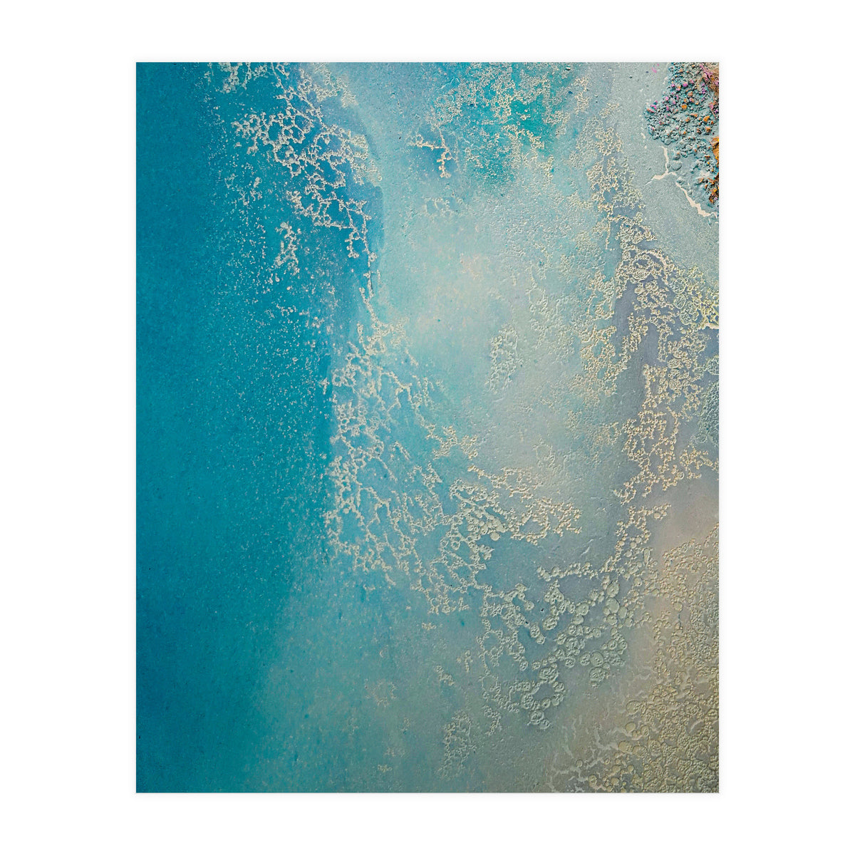 Shallow Waters (Print Only)