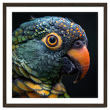Close Up Of A Colorful Parrot's Face thumbnail