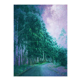 Magical Path (Print Only) thumbnail