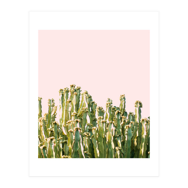 Cactus Blush #society6 #decor #buyart (Print Only)