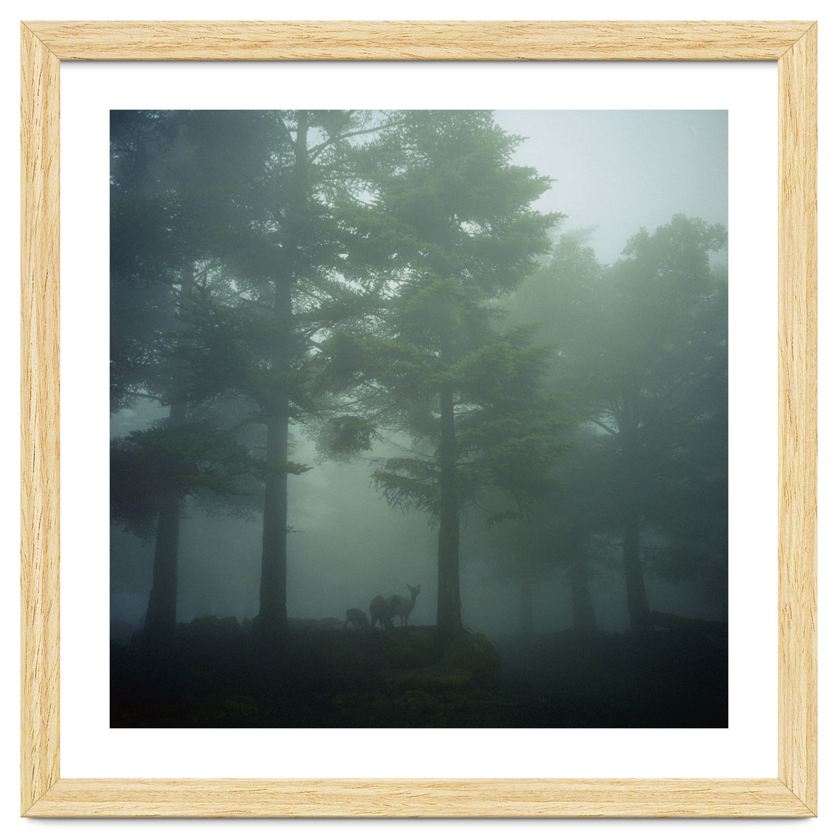 Silence of breath - 10