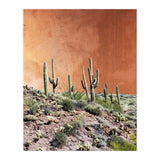 Rustic (Print Only) thumbnail