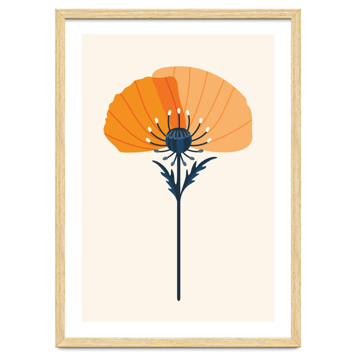 Orange Half Poppy
