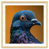 Close Up Of A Pigeon's Head And Neck thumbnail