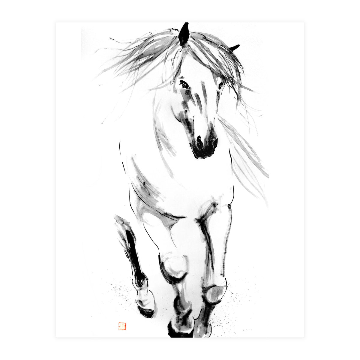 Runninh Ghorse In Water (Print Only)