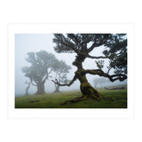Forest queen (Print Only) thumbnail