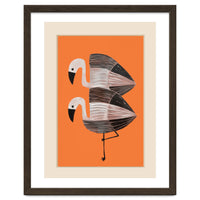 Tangerine Flamingos