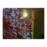 Autumn’s Embrace (Print Only) thumbnail