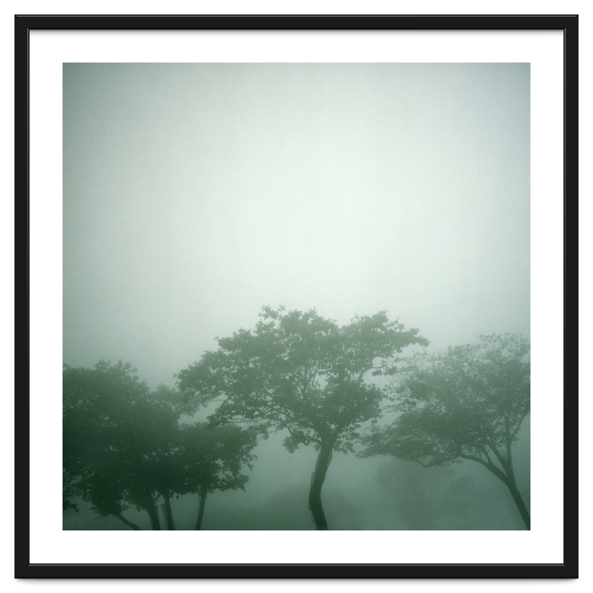 Silence of breath - 17