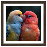 Two Lovebirds Nuzzling Close Up Portrait thumbnail