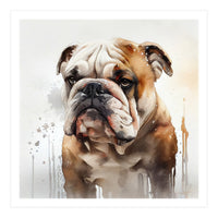 Watercolor British Bulldog (Print Only)