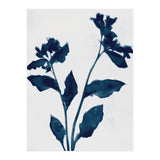 Indigo Blue Flower Silhouette 2 (Print Only) thumbnail