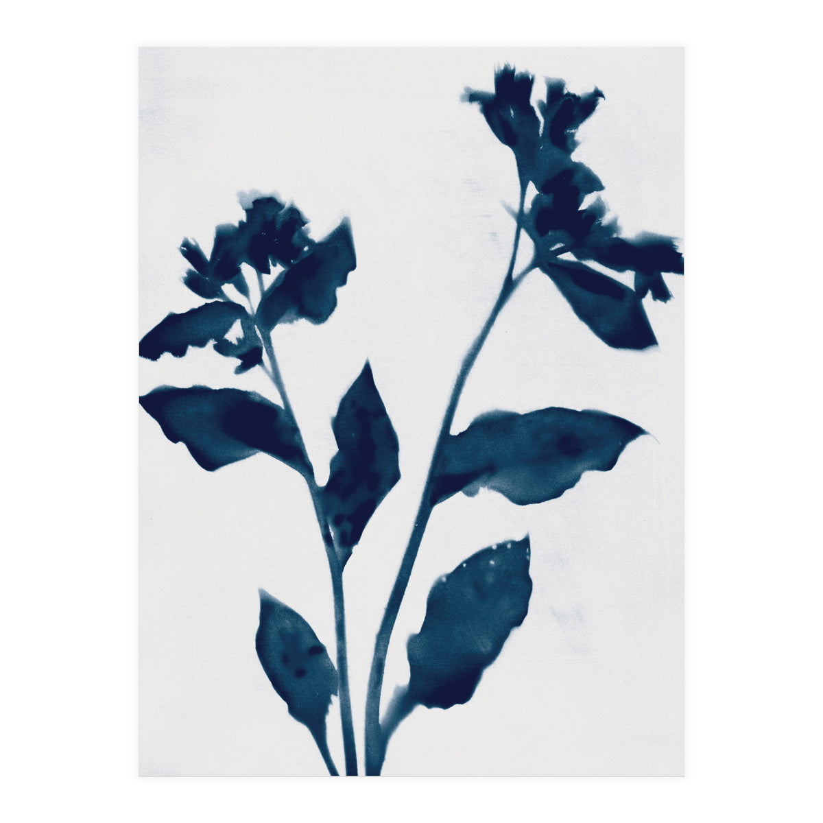 Indigo Blue Flower Silhouette 2 (Print Only)