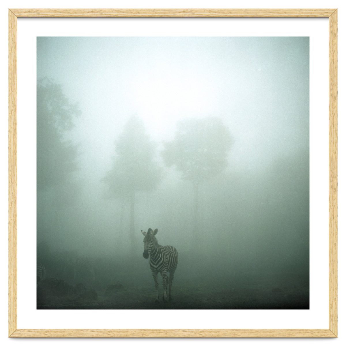 Silence of breath - 01