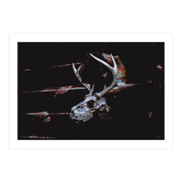 Deer Skull (Print Only)