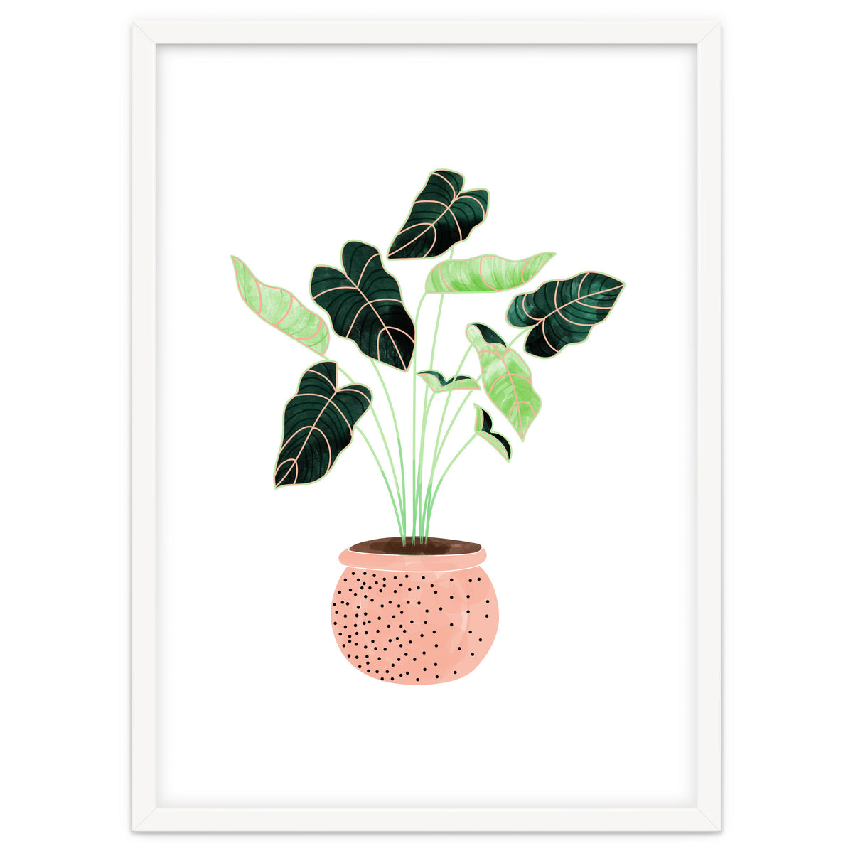 Home Plant | Ceramic Botanical Planter Illustration | Minimal Bohemian Watercolor Painting Polka Dot