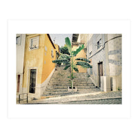 Lisbon Palm Tree (Print Only)