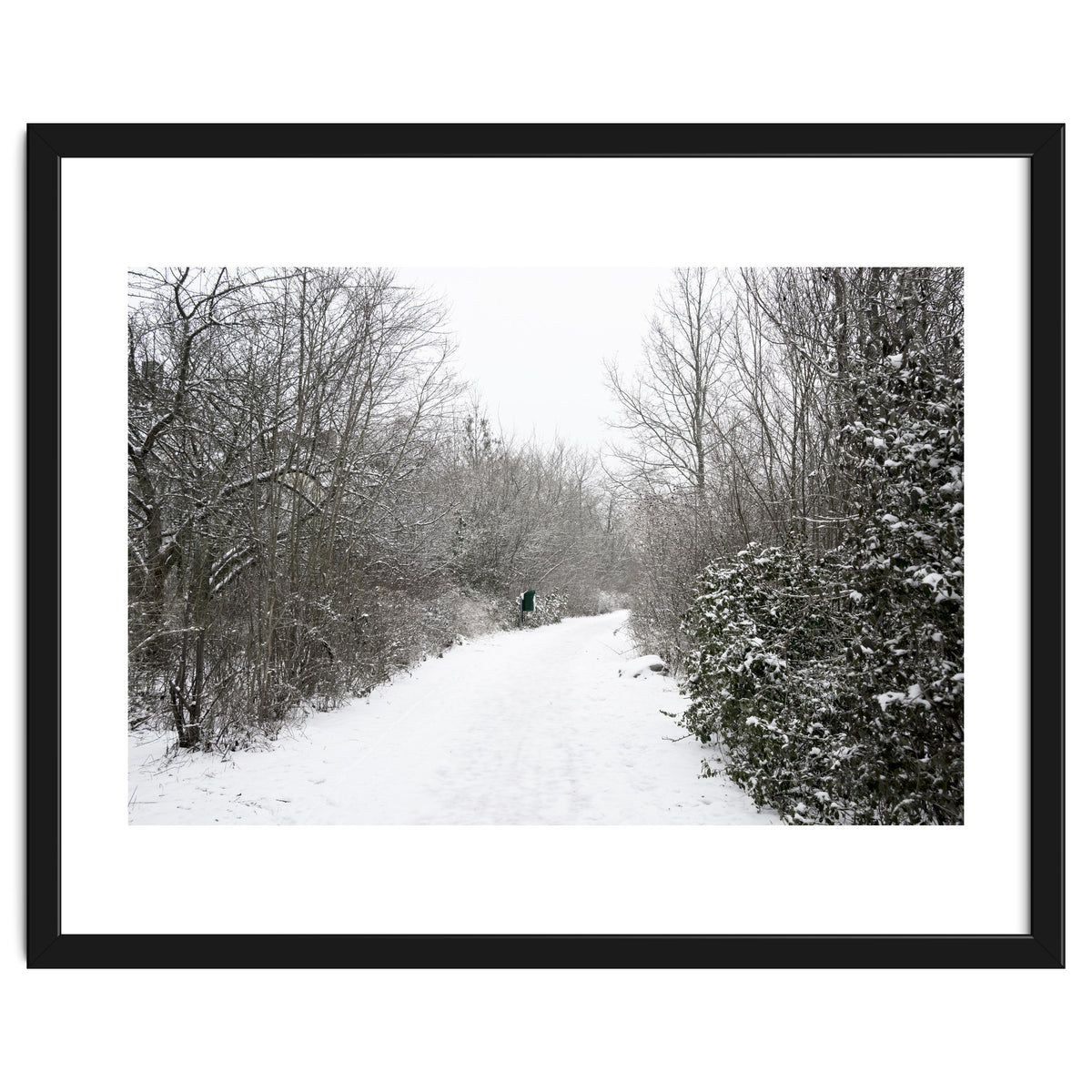Walking through the snow park