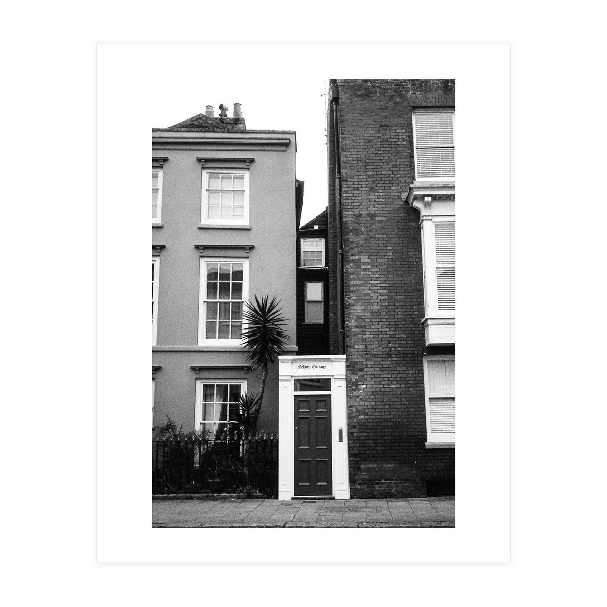 Narrow Living (Print Only)