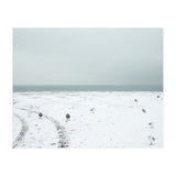 Seagulls in the winter snow beach (Print Only) thumbnail