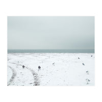 Seagulls in the winter snow beach (Print Only)