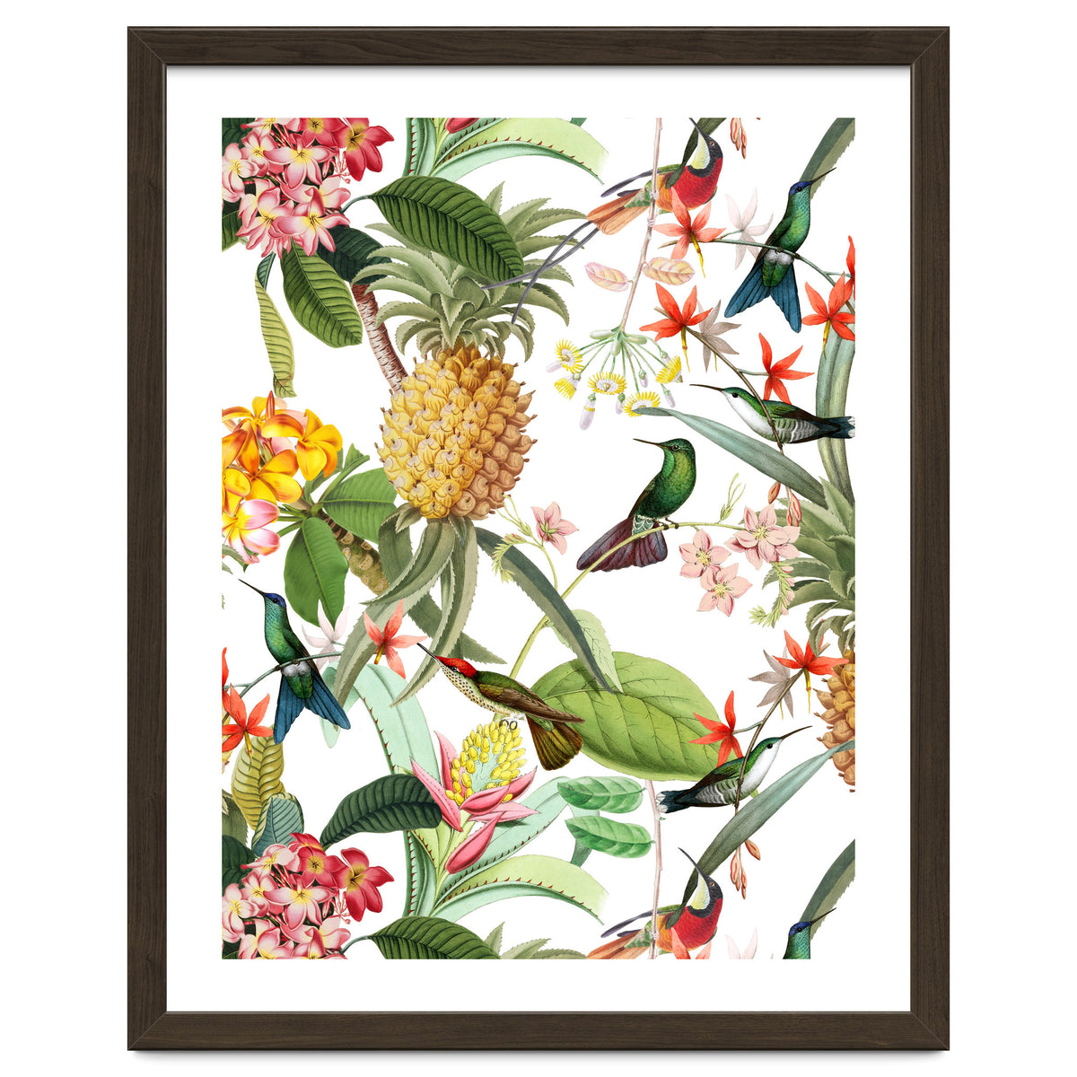 Hummingbirds in tropical Jungle