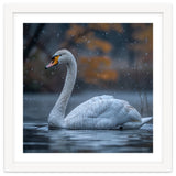 Swan Floating Gracefully On Water In Autumn thumbnail