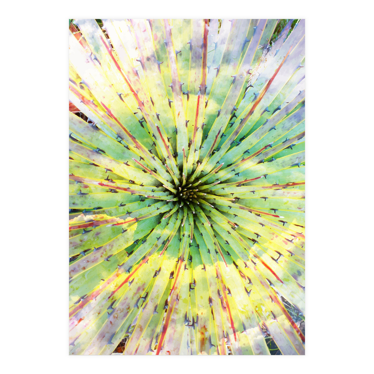 Bitter Sweet (Print Only)